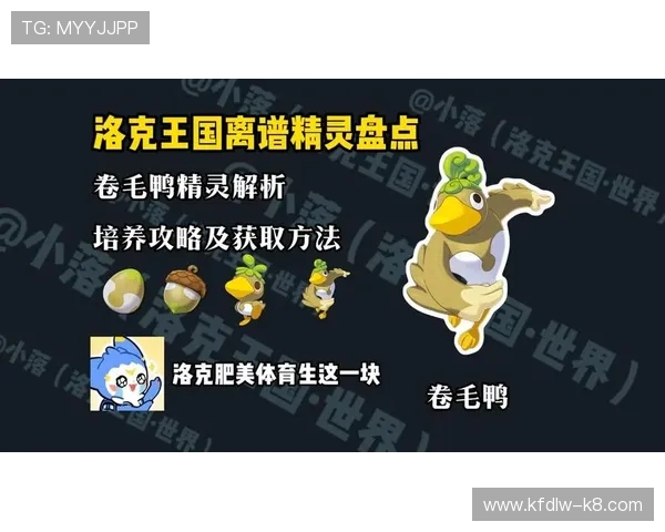 奇发体育线上商城购物流程与售后服务全攻略