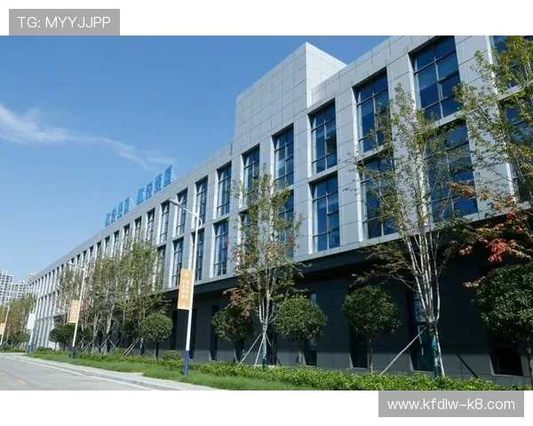 凯发集团官网首页网站查询解决常见登录问题与技术故障的实用方法